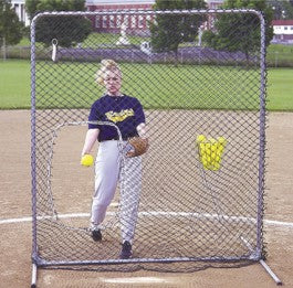 Tag Softball Protective Screen With Cutout